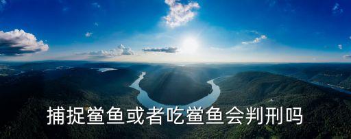 捕捉鱟魚或者吃鱟魚會判刑嗎