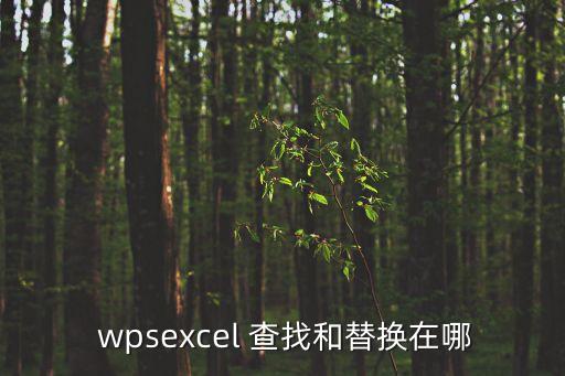  wpsexcel 查找和替換在哪
