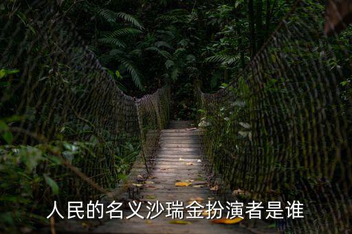 人民的名義沙瑞金扮演者是誰