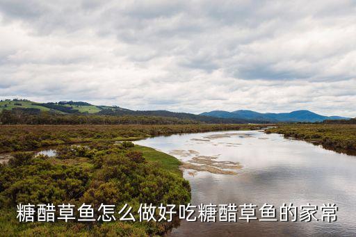 糖醋草魚，糖醋草魚怎么做