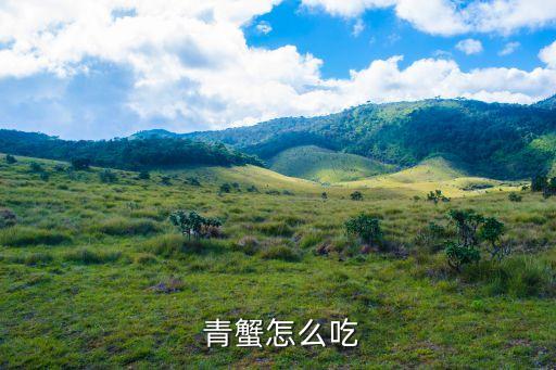 蔥姜炒青蟹,青蟹排骨湯一碗冷藏15分鐘