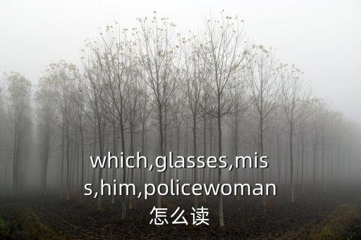 which,glasses,miss,him,policewoman怎么讀