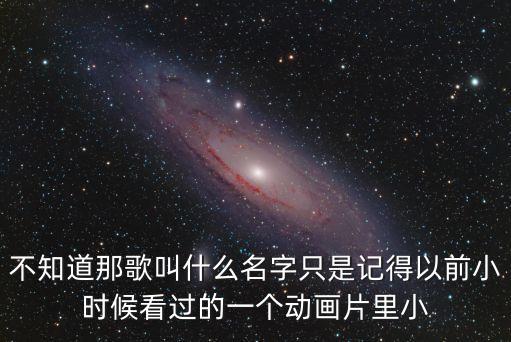 小蛋殼，小蛋殼的介紹