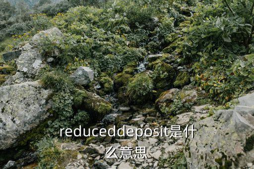  reduceddeposit是什么意思
