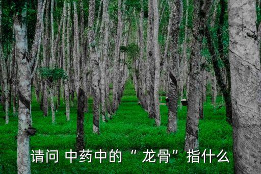 龍骨中藥,國家執業藥師資格考試指南:龍骨可安神平肝潛陽