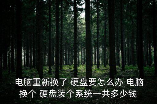  電腦重新?lián)Q了 硬盤要怎么辦 電腦換個 硬盤裝個系統(tǒng)一共多少錢