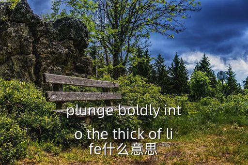 plunge，plunge boldly into the thick of life什么意思