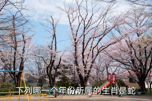 下列哪一個(gè)年份所屬的生肖是蛇
