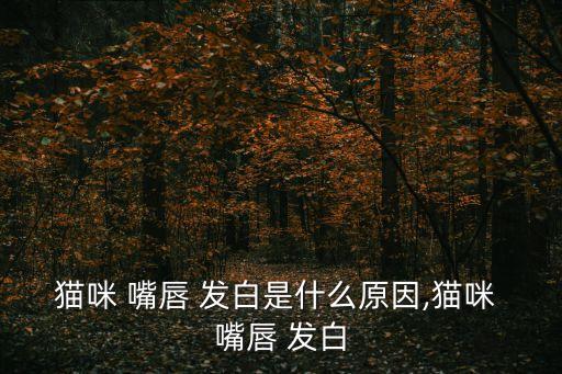 嘴唇發白,天氣可能導致1發白貓冷的原因