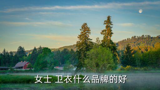  女士 衛衣什么品牌的好