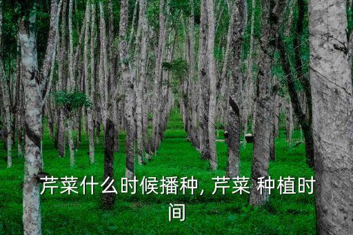 芹菜種植技術和種植時間,從這里開始!如何種菜!