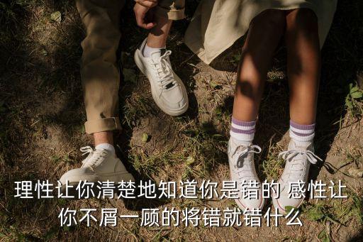 理性讓你清楚地知道你是錯的 感性讓你不屑一顧的將錯就錯什么