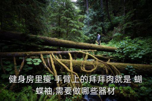 健身房里瘦 手臂上的拜拜肉就是 蝴蝶袖,需要做哪些器材