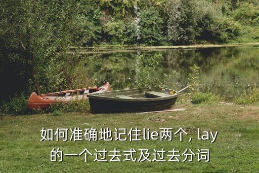 lay過去式,精選新加坡大選】第一集