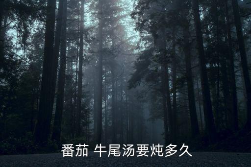  番茄 牛尾湯要燉多久