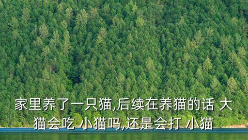 家里養了一只貓,后續在養貓的話 大貓會吃 小貓嗎,還是會打 小貓