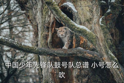 中國少年先鋒隊鼓號隊總譜 小號怎么吹