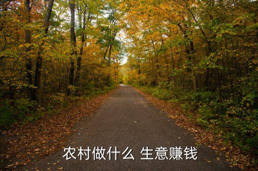  農村做什么 生意賺錢