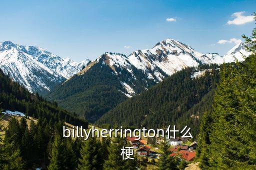 billyherrington什么梗