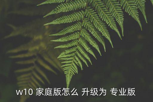 家庭版升級專業(yè)版,win10專業(yè)版本密鑰44開始升級