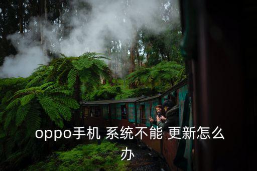  oppo手機 系統不能 更新怎么辦