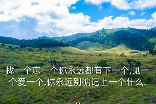 找一個忘一個你永遠都有下一個,見一個愛一個,你永遠別惦記上一個什么...