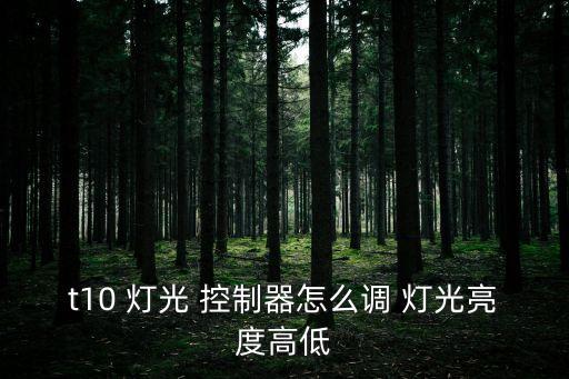 t10 燈光 控制器怎么調 燈光亮度高低