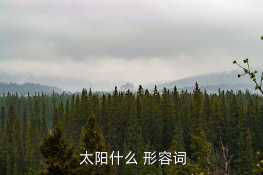  太陽什么 形容詞