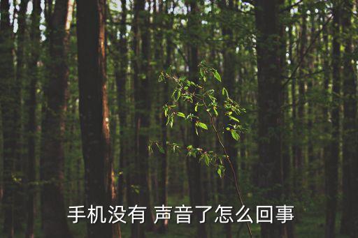  手機沒有 聲音了怎么回事