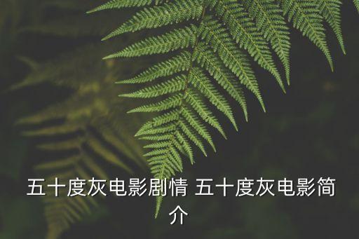 五十度灰豆瓣,五十都匯嚴格忠于原著女大生與企業家相遇