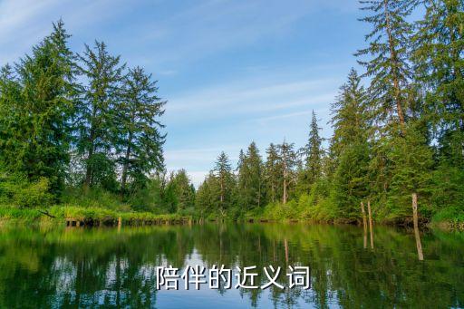 陪伴的近義詞