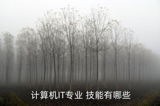  計算機IT專業 技能有哪些