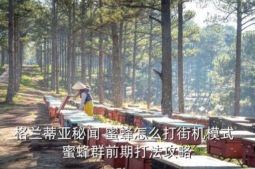 格蘭蒂亞秘聞 蜜蜂怎么打街機(jī)模式 蜜蜂群前期打法攻略