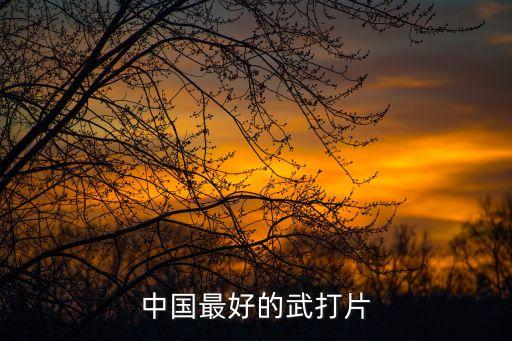 動(dòng)作片排行榜,《奪寶奇兵》系列《泰坦·科特》第一集