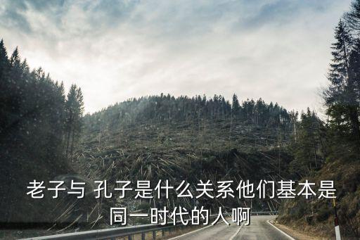 孔子和老子,楚國安排流亡者方式使老子和周太師在同個地方