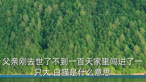 父親剛去世了不到一百天家里闖進了一只大 白貓是什么意思