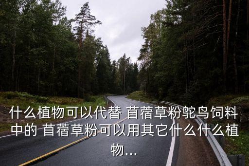 苜蓿草的功效與作用,草本飼料用什么植物粉最好