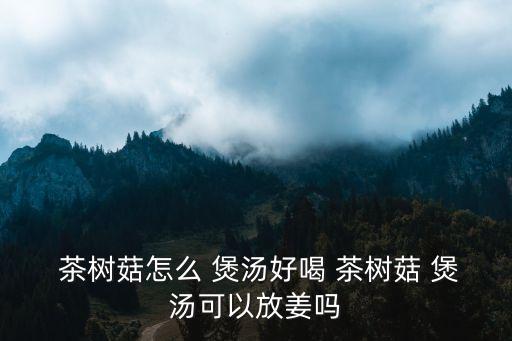  茶樹(shù)菇怎么 煲湯好喝 茶樹(shù)菇 煲湯可以放姜嗎