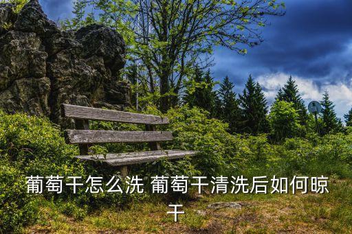 葡萄干怎么洗,怎么洗葡萄干?洗干凈后晾干