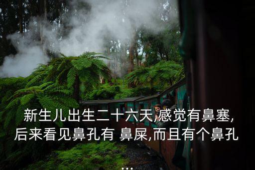  新生兒出生二十六天,感覺有鼻塞,后來看見鼻孔有 鼻屎,而且有個鼻孔...
