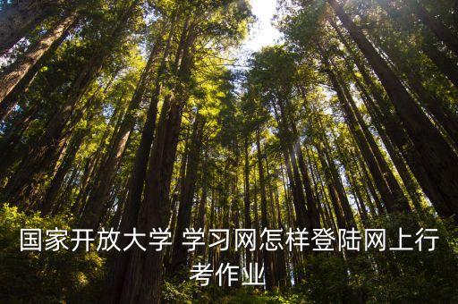 學(xué)習(xí)網(wǎng),一起學(xué)習(xí)天堂針對小學(xué)生問題開發(fā)游戲化教學(xué)平臺