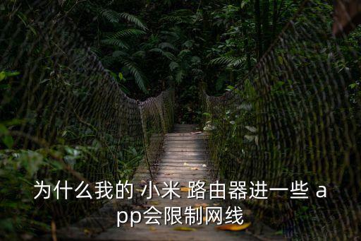為什么我的 小米 路由器進一些 app會限制網線