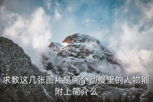 求教這幾張圖片是哪個動漫里的人物能附上簡介么