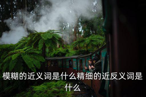 模糊的近義詞是什么精細的近反義詞是什么