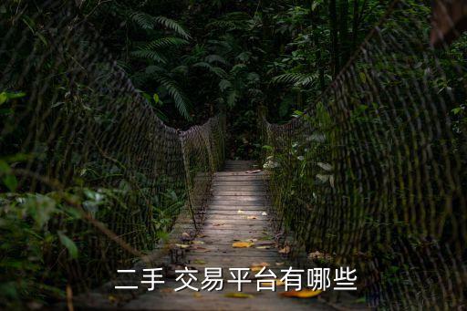  二手 交易平臺有哪些