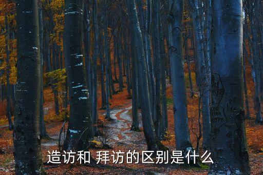 拜訪的拼音,關于拜訪和探訪的區別在于訪問者角度不同