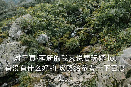 對于真·萌新的我來說要玩好 lol有沒有什么好的 攻略給參考一下百度知...