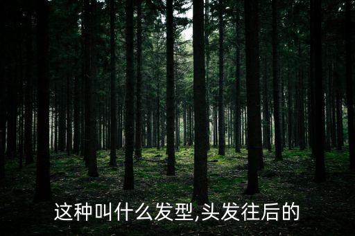 quiff,quiff發型短平剪發型要點柔順又硬朗