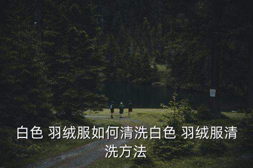 白羽絨服怎么洗,如何清洗羽絨服?