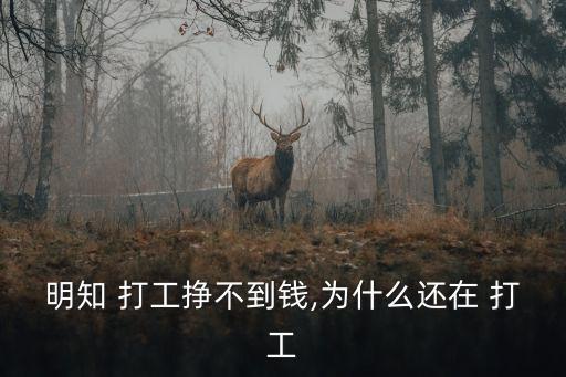 打工掙錢,你可以申請(qǐng)加入我們的行業(yè)嗎?